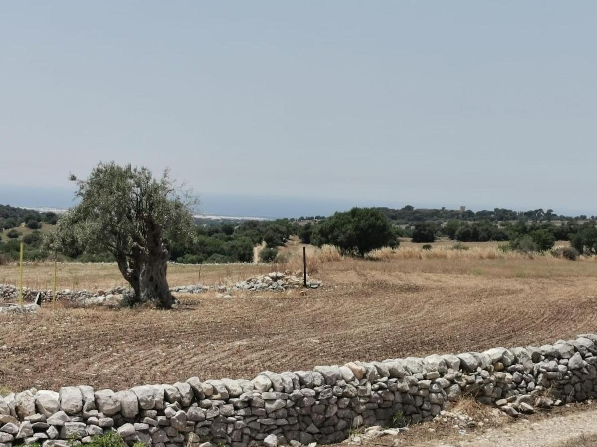 La campagna con un vecchio albero, il muro a secco e il mare all'orizzonte