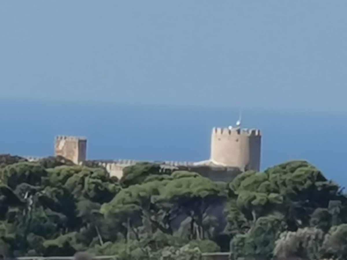 Le torri merlate del Castello di Donnafugata fra i pini, viste dalla campagna